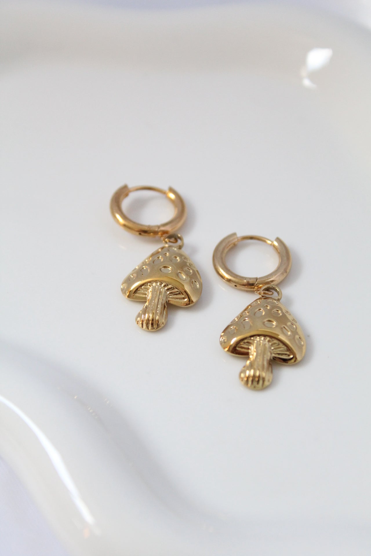 Fungi Danglings